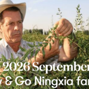 YLHK 2026 Grow and Go 比賽搶先看